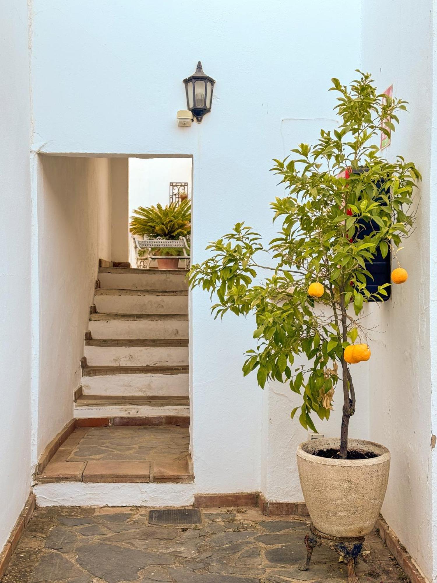 Hotel Cortijo Las Piletas Ronda Extérieur photo